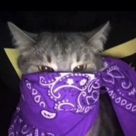 ПЕРНАТАЯТВАРЬ